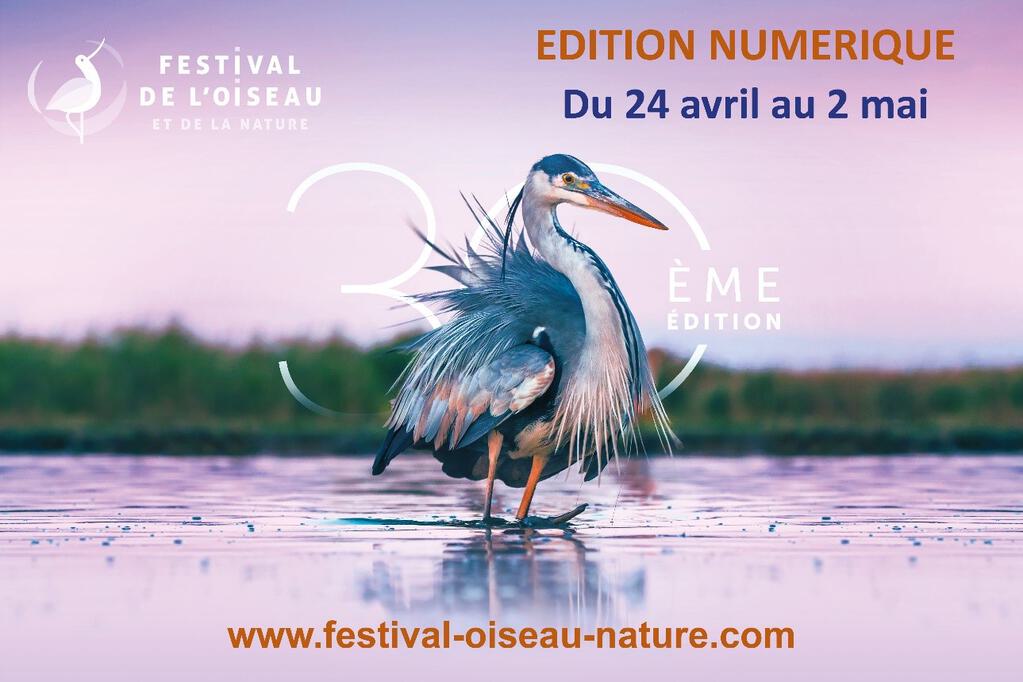 festival-oiseau