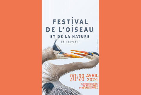 img-festival-oiseau-nature-2024