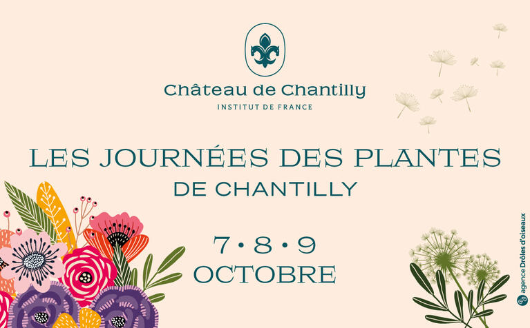 img-journees-des-plantes-de-chantilly-octobre-2022