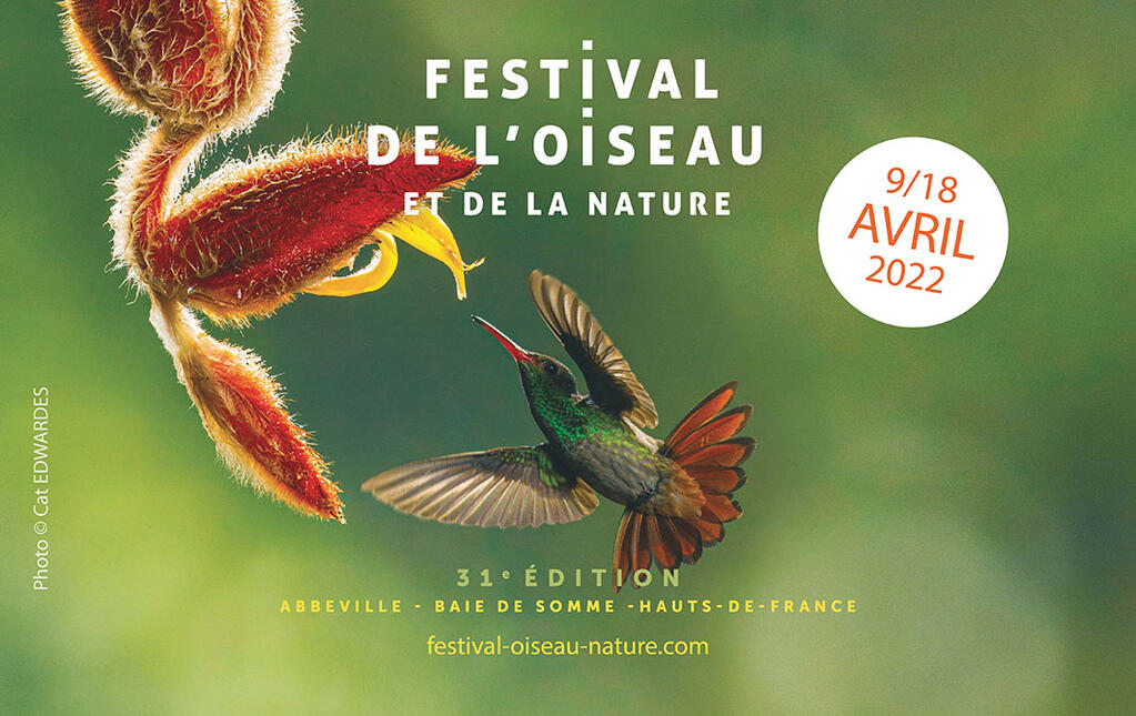 img-31-ème-Festival-de-l'oiseau-et-de-la-Nature